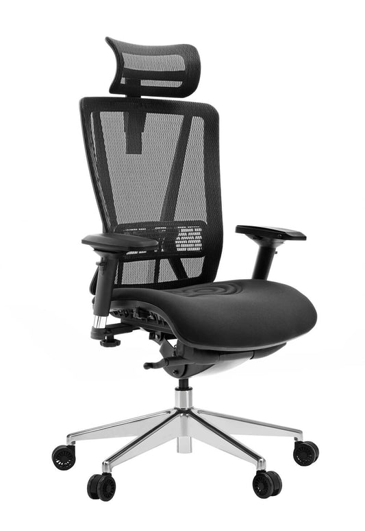 ergonomische bureaustoel - RIVO Titan